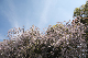 image0175