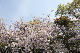 image0176