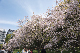 image0177
