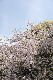image0178