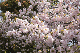 image0179
