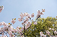 image0182