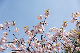 image0183