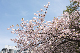 image0187