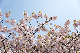 image0191
