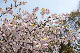 image0192