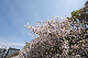 image0193