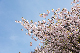 image0194