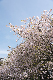 image0196
