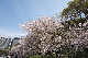 image0197
