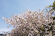 image0198