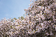 image0199