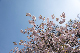 image0202