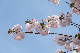 image0209