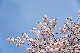 image0211