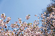 image0212
