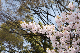 image0215