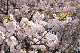 image0219