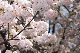 image0220