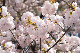 image0221