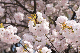 image0222