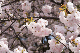 image0223