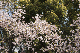 image0228