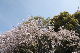 image0229