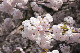 image0231
