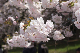 image0232