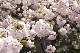 image0234