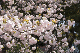 image0235