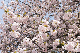 image0236