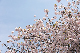 image0237