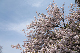 image0245