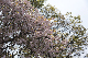 image0251