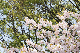 image0252