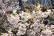 image0253