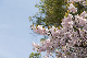 image0254