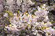 image0255