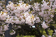 image0256