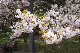 image0257