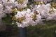 image0258