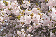 image0260