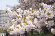 image0263