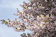 image0264