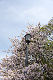 image0266