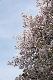image0267