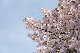 image0268