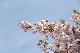 image0272